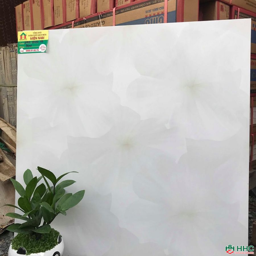 Gạch lát nền đẹp 60x60 KA1712032